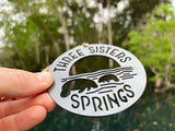 Three Sisters Springs Florida Manatee Raw Steel Ornament